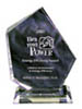 Flex Your Power Awards Trophy