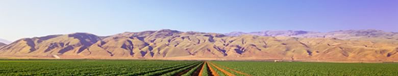 View of California fields