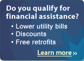 Income-Based Energy Efficiency Programs