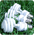CFLs