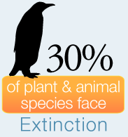 extinction
