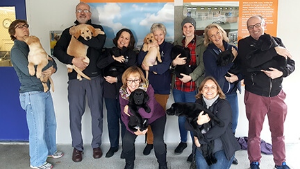 A photo of some of the Development Department team members, all holding puppies. A photo of some of the Development Department team members, all holding puppies.