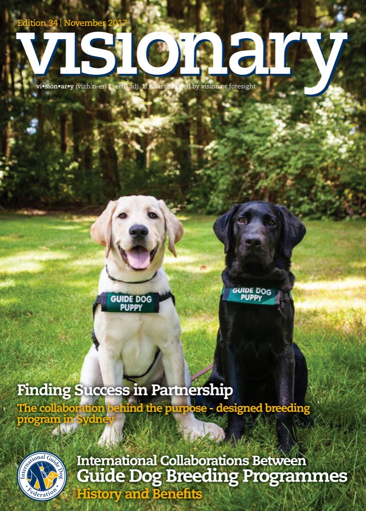 The cover of the November 2017 Visionary features two of our guide dog puppies in training. A yellow Lab and a black Lab both wearing green GDB puppy coats sit together on green grass and gaze into the camera.