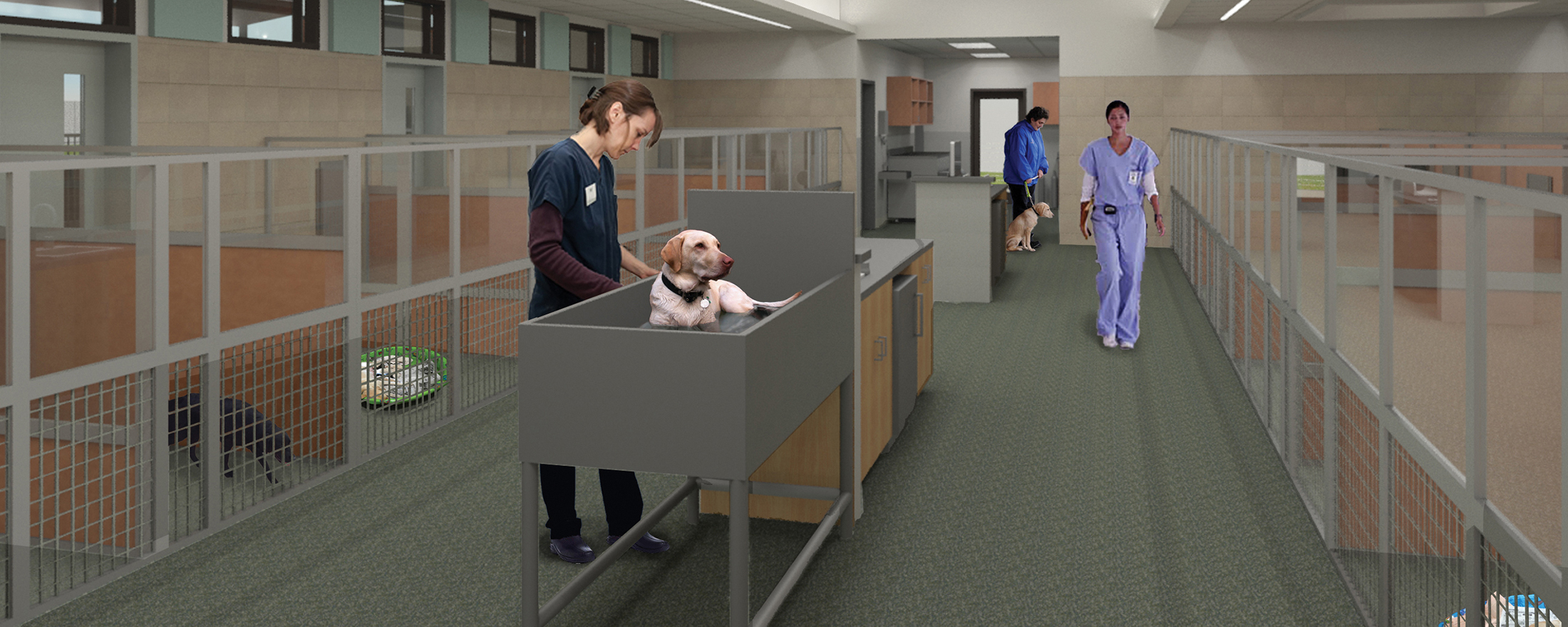 An architect's rendering of the new Puppy Center nursery An architect's rendering of the new Puppy Center nursery