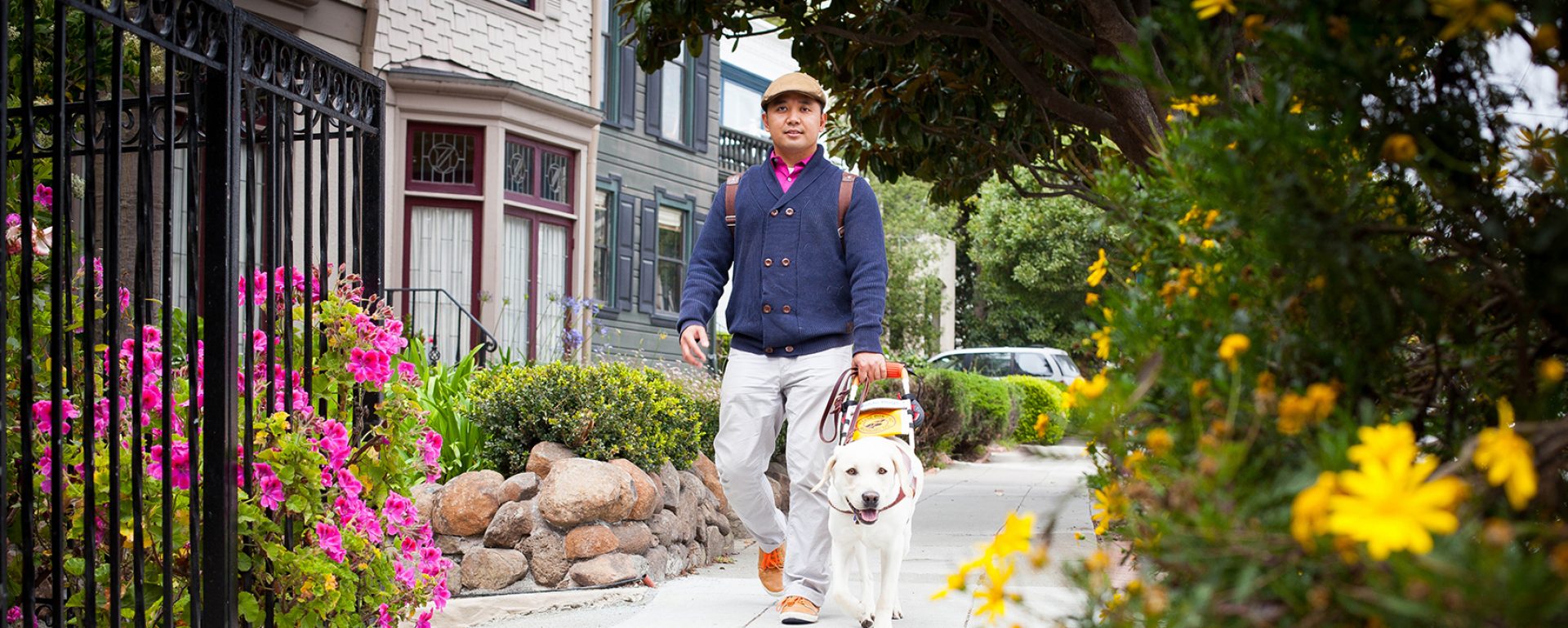 A man and his yellow Lab guide dog walking down a sidewalk lined with colorful flowers.