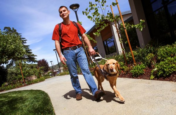 Jake wears his backpack and walks on campus with his guide Angelina (yellow Lab)