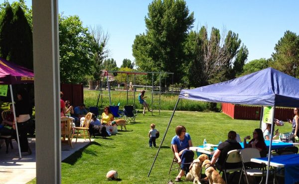 Tables and tents set up in a beautiful green backyard on a sunny day with people and dogs hanging out in the shade.