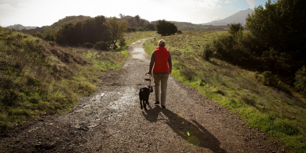 A female GDB graduate hikes along a trail with her black Lab guide dog next to her