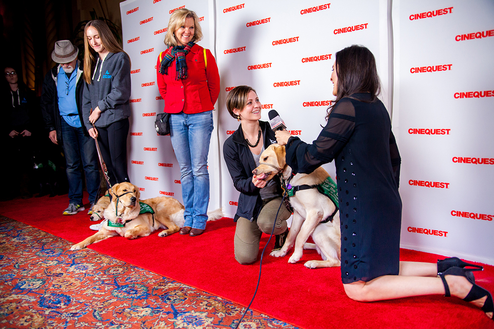 Cinequest Red Carpet Cinequest Red Carpet