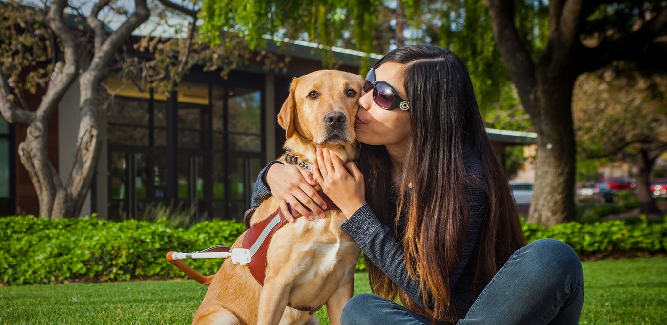 Guide Dogs for the Blind | Welcome to Guide Dogs for the Blind