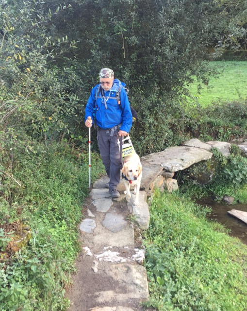 Phil (yellow Lab in harness with a yellow sign that reads "PERRO GUIA") down a stony path.