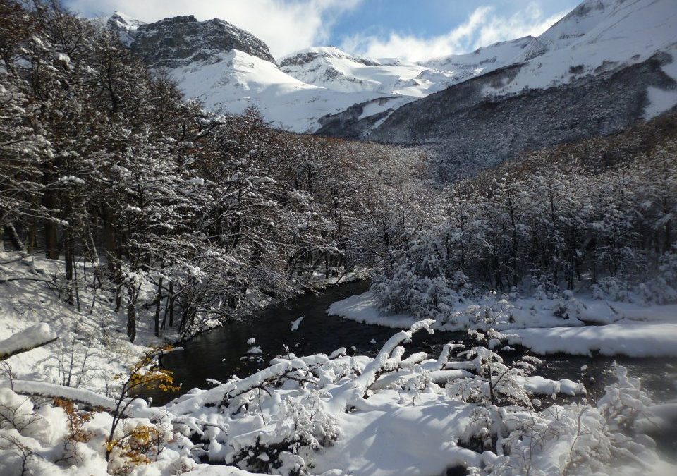 Paisajes esculpidos por glaciares : Valle del Silencio