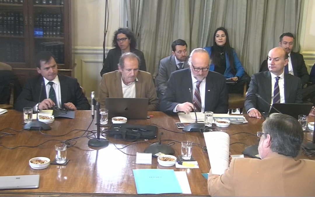 Ley de Protección de Glaciares: 2ª intervención en Comisión de Minería y Energía