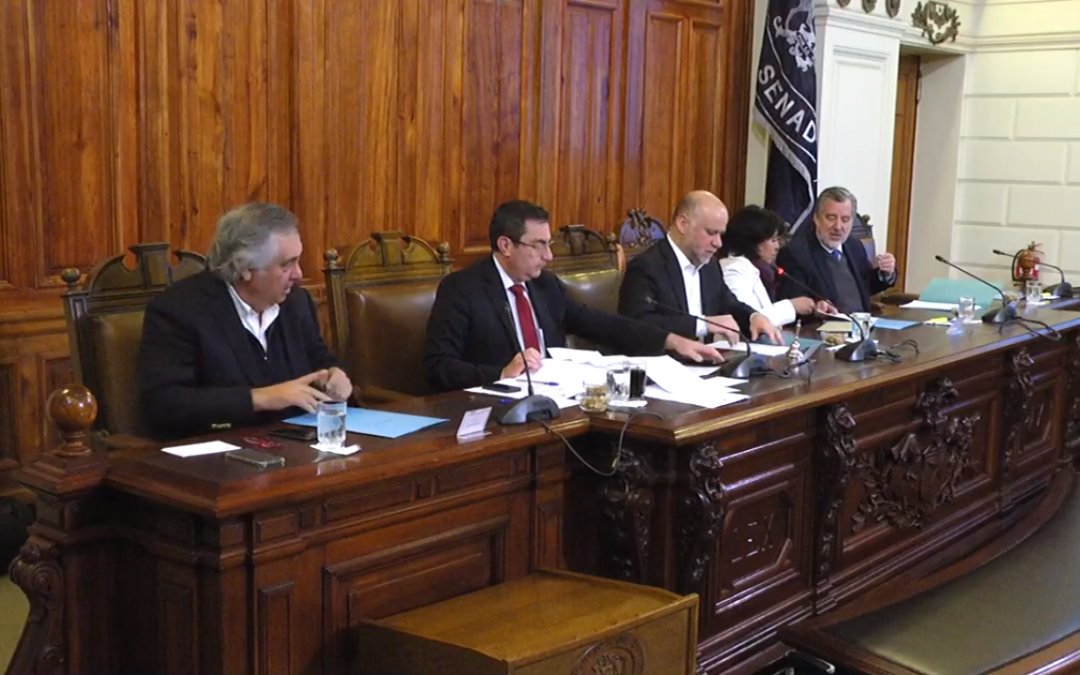 Ley de Protección de Glaciares: 4ª intervención en Comisión de Minería y Energía