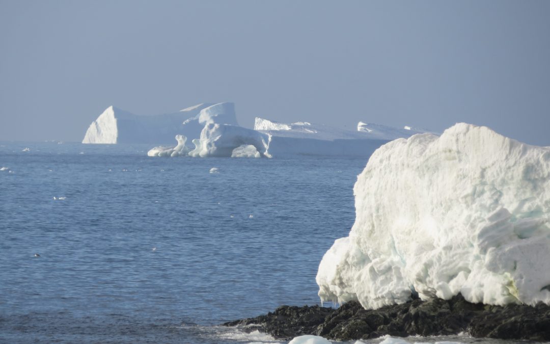 Mes del mar y el Océano Austral