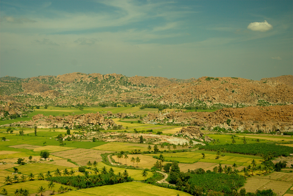 A nice tinge of green in the summer Picture Courtesy: Pradeep Kumbhashi