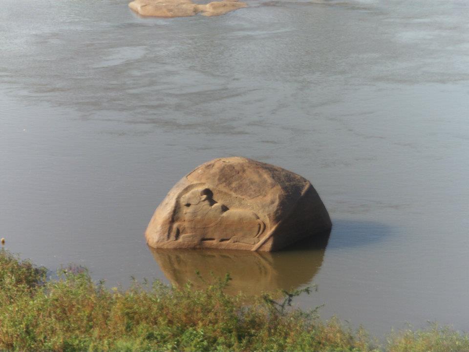 Picture of a Bull in Hampi