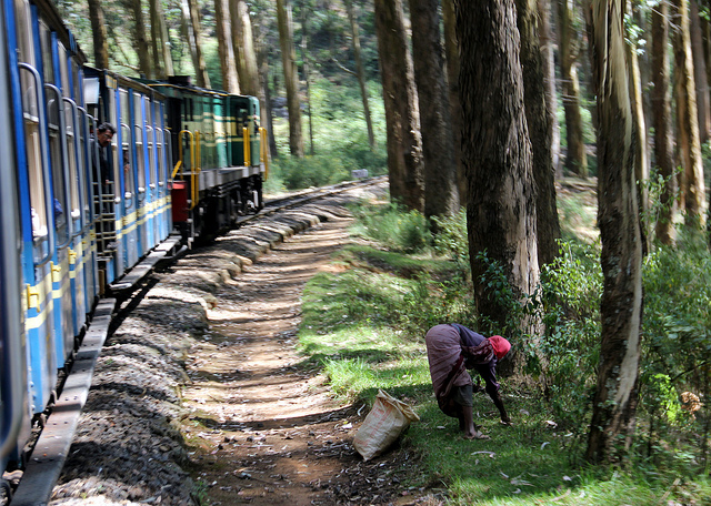 Take a ride in the train.