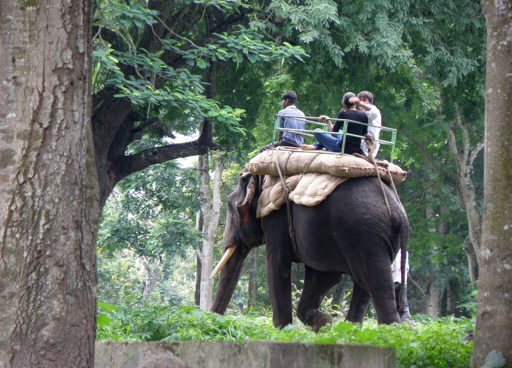 A ride on an elephant
