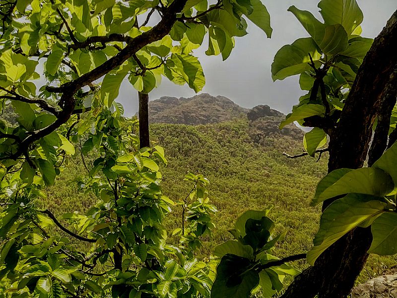Priyadarshini Point