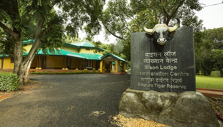 Bison lodge