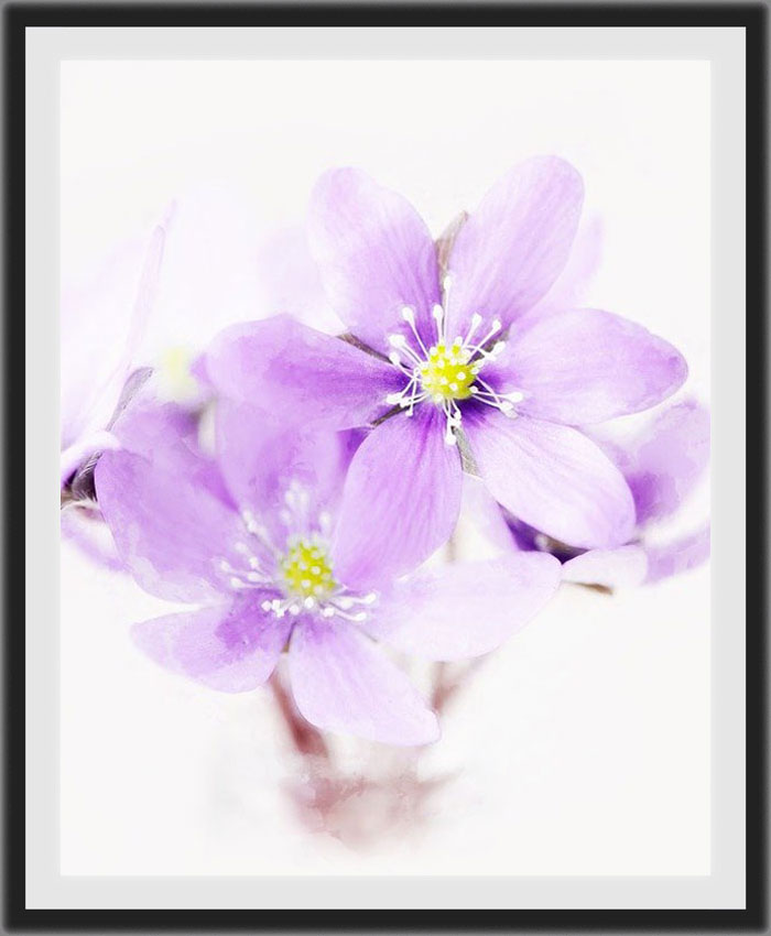 Floral Painting 1 Floral Painting 1