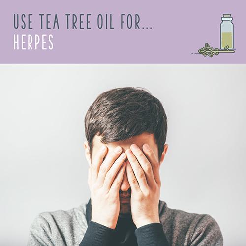 Tea Tree Oil Over 70 MindBoggling Tea Tree Oil Uses