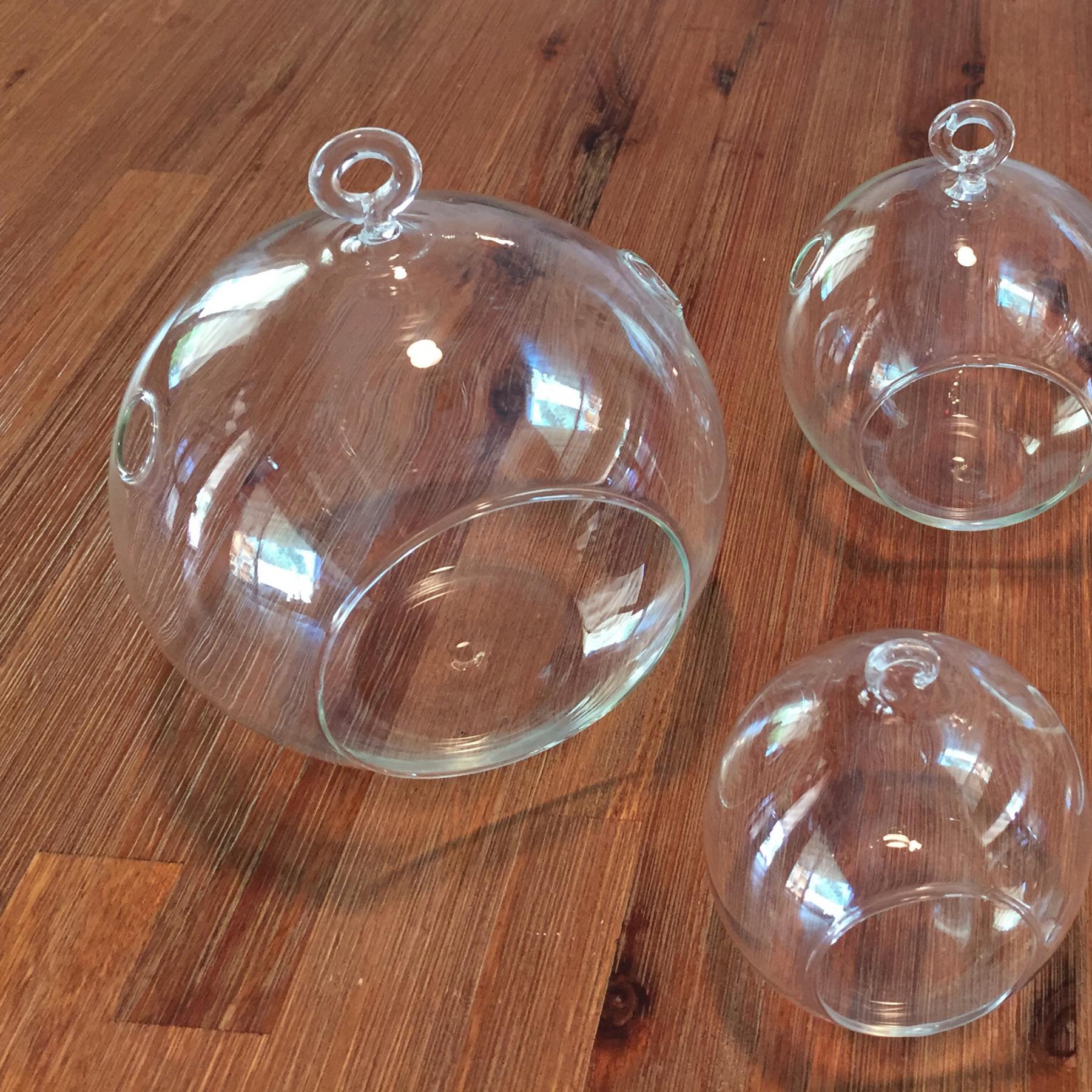 Air plant terrarium hanging containers