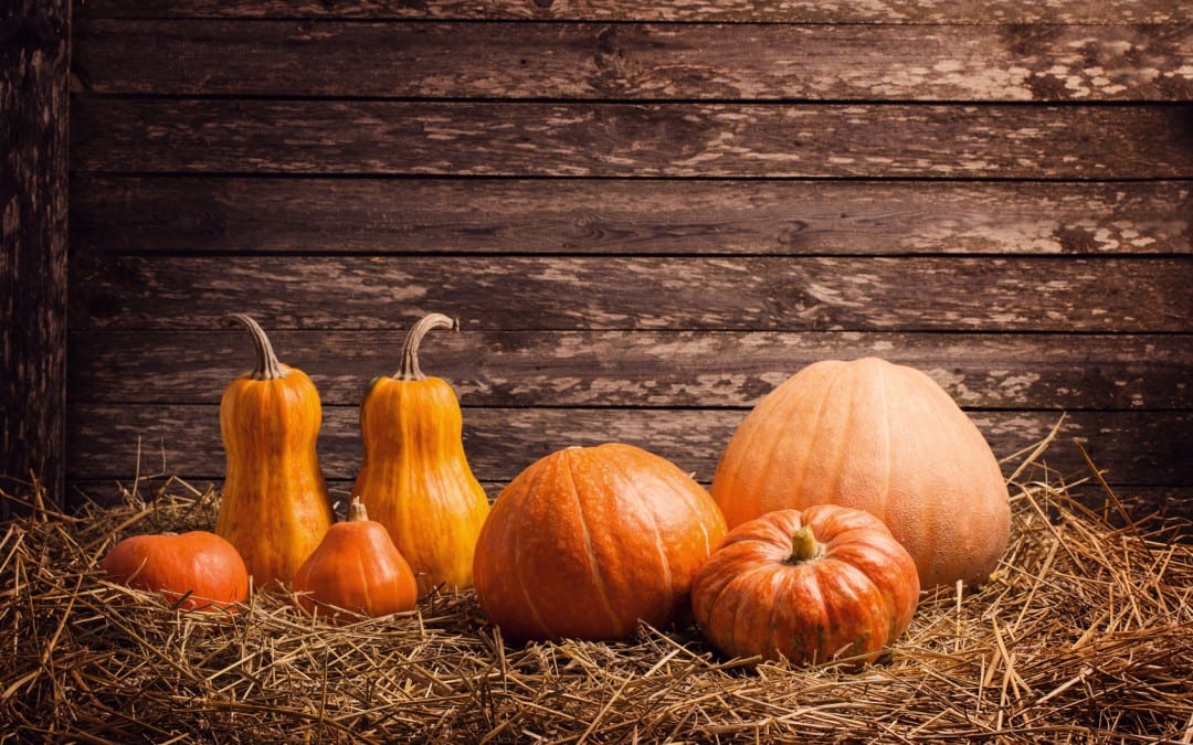 How to Have a Happy Blended-Family Holiday