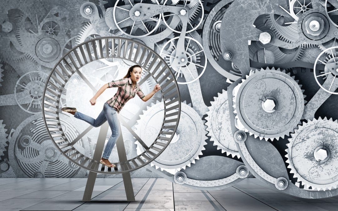 How to Move Forward? Stop.