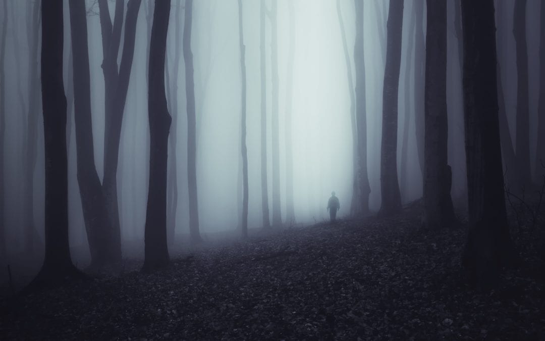 How to Feel Safe in a Scary World