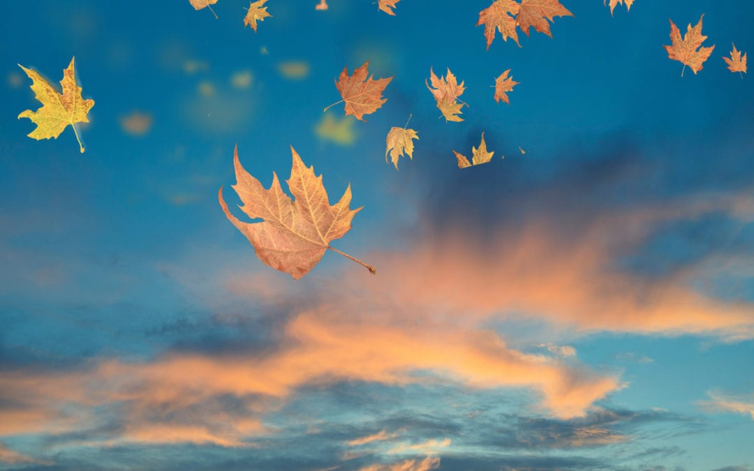 How to Release Control and Let Things Go