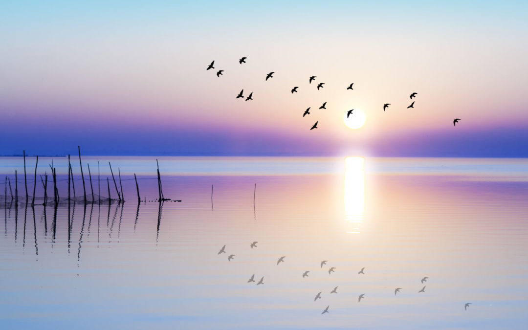 How to Let Go of Anger