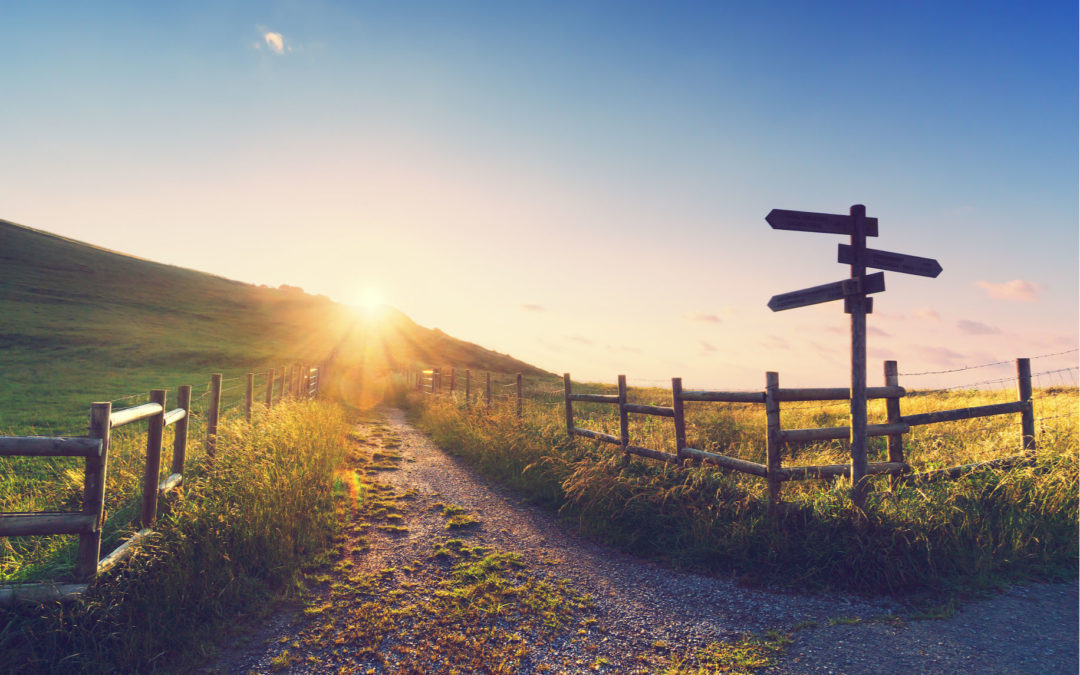 How to Find Your Purpose in Life
