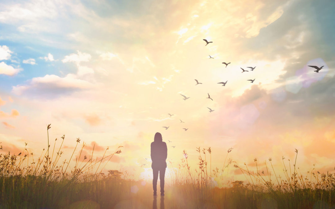 The Path to Wellness