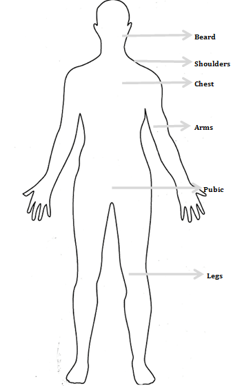 body hair transplant ak clinics india