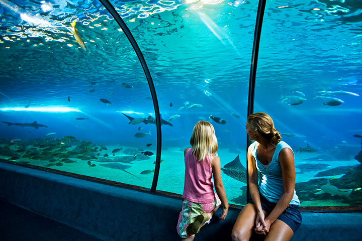 Things To Do In Waikiki With Kids Things To Do In Waikiki With Kids