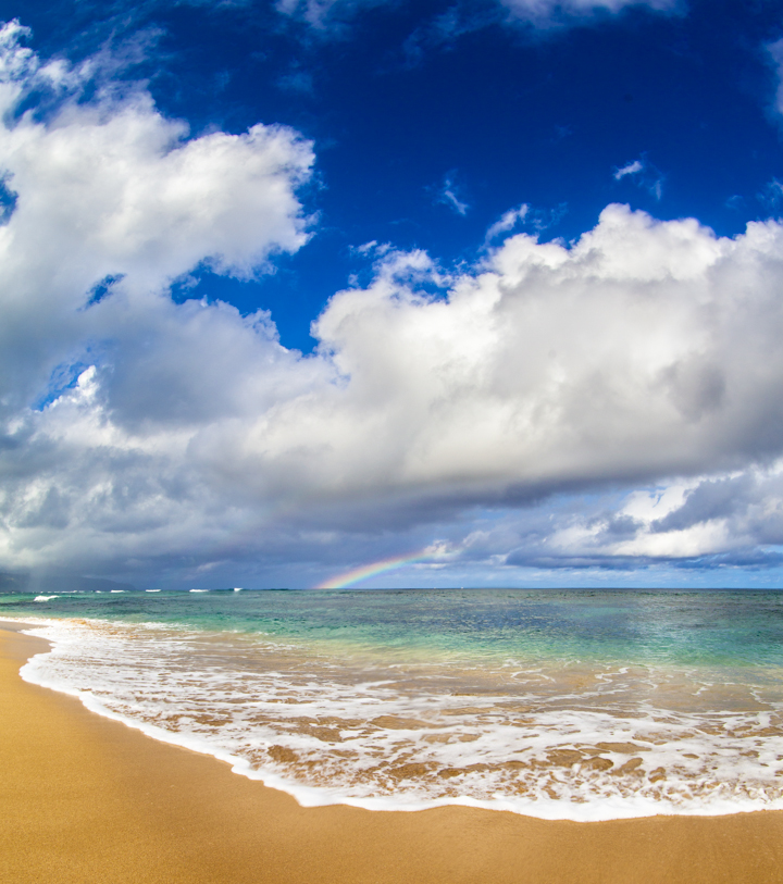 North Shore rainbow, Neal Kido