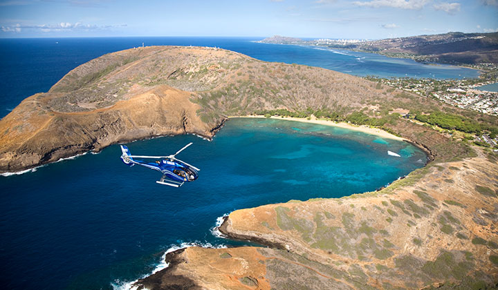 Blue hawaiian helicopter discount coupons