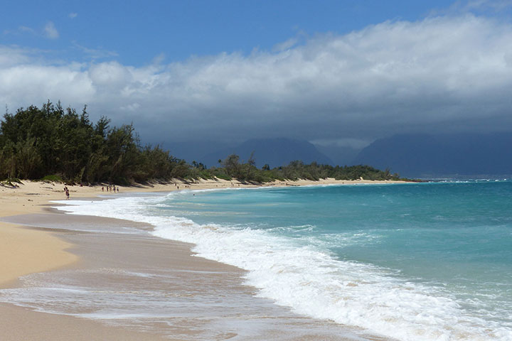 Baldwin Beach Park. Photo courtesy of Frank Hamm via Flickr.