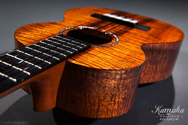 ukulele festival