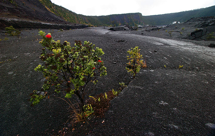 Photo courtesy of via flickr.