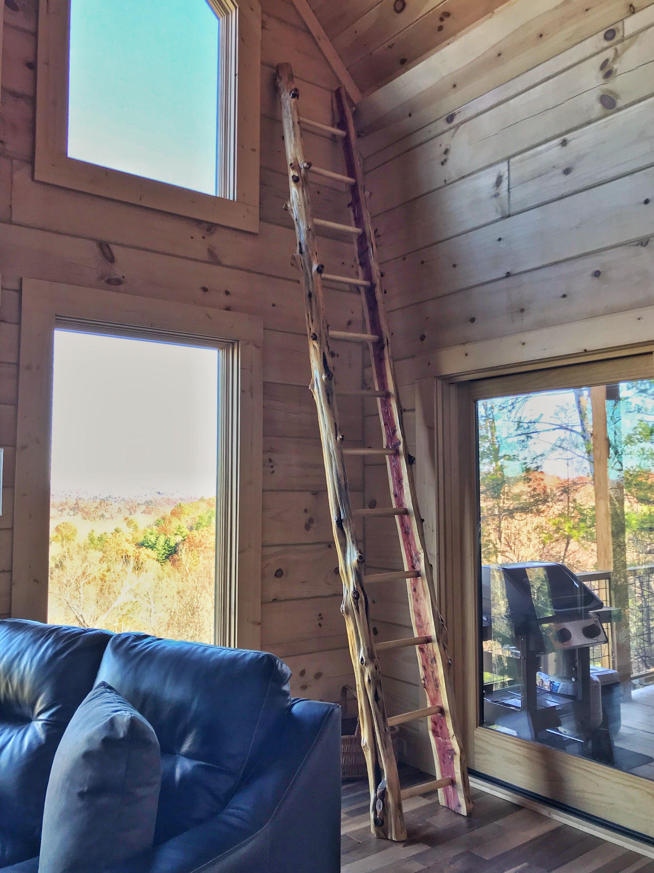 Cedar ladder photo
