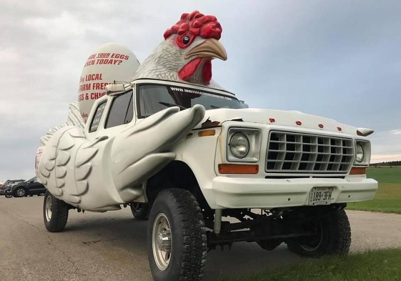 Chicken truck photos