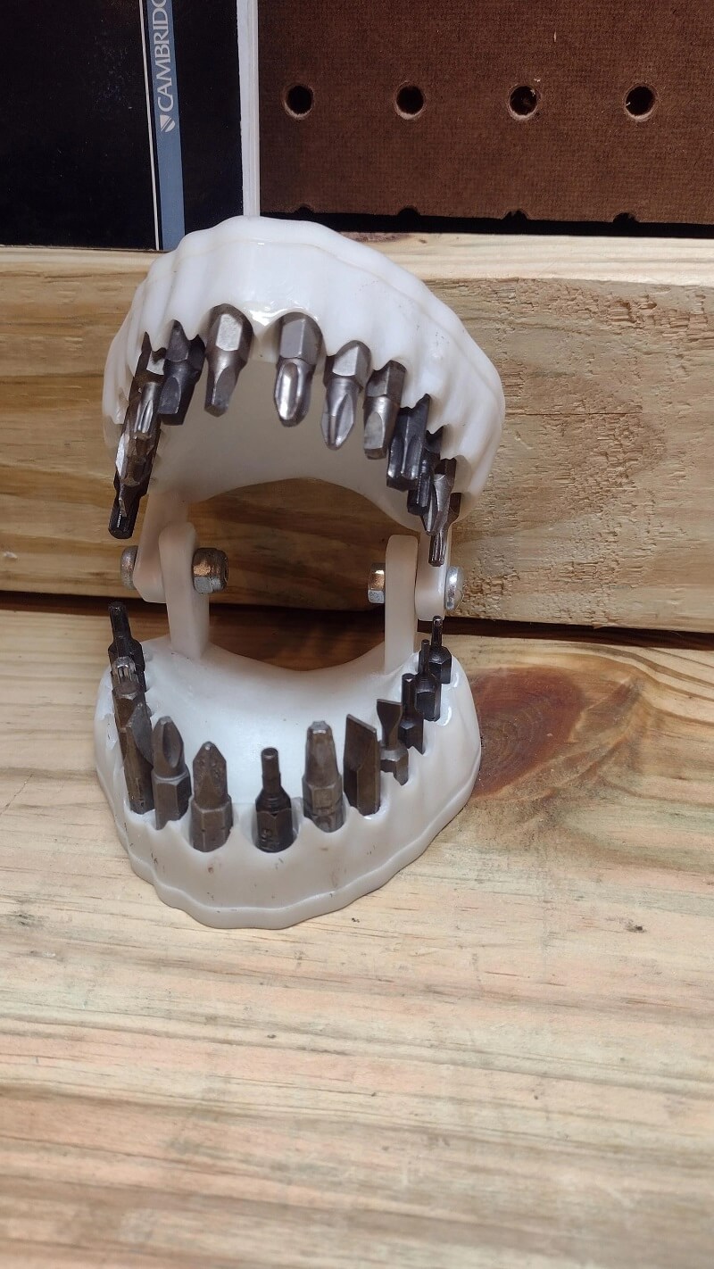 Human jaw model bit holder photos