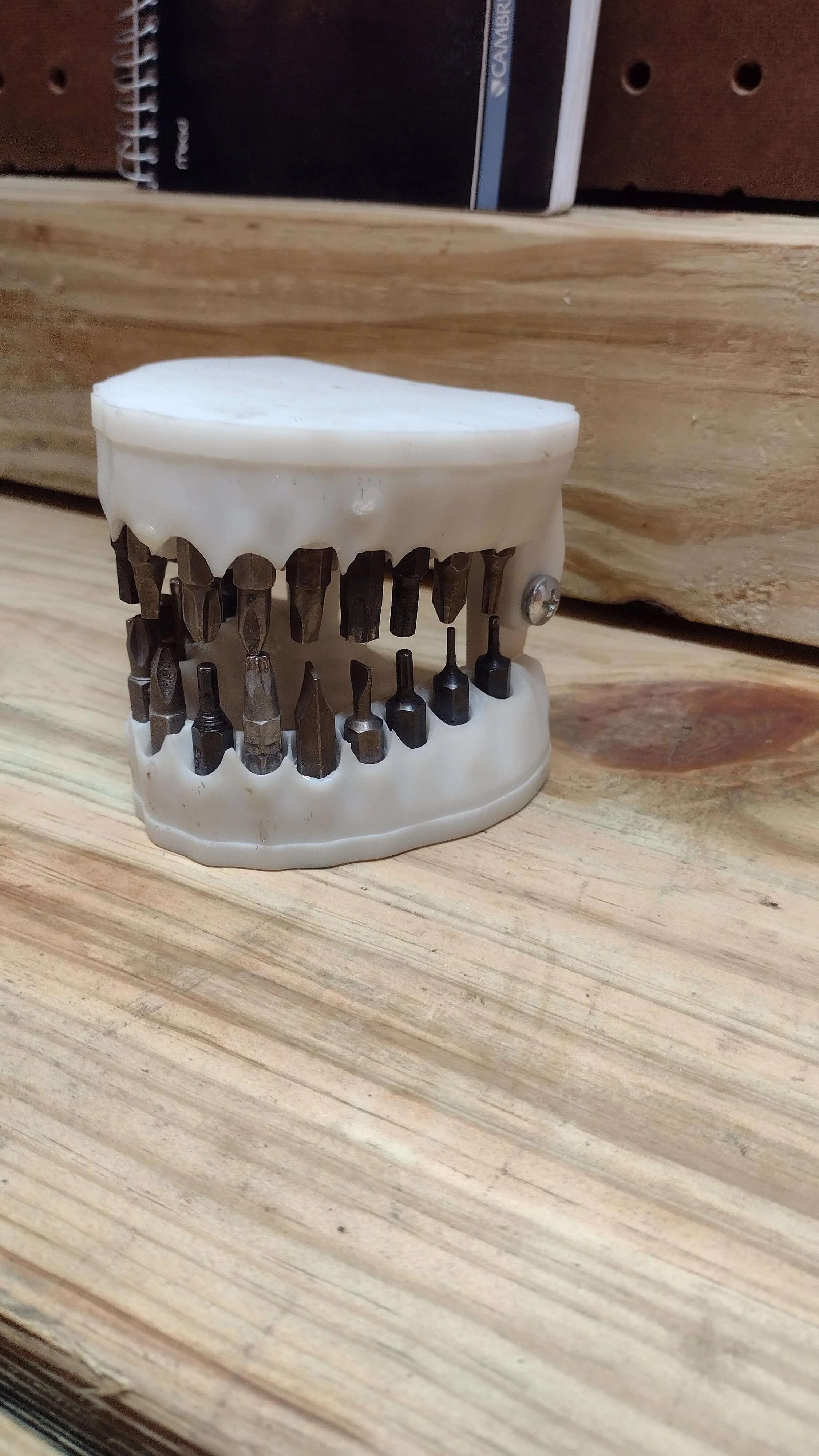 Human jaw model bit holder photos