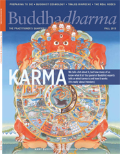 Buddhadharma Fall 2013
