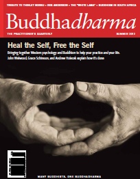 Buddhadharma magazine