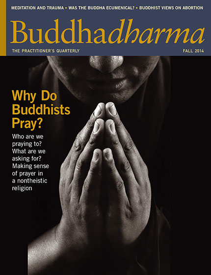 Buddhadharma Summer 2015 Magazine Cover