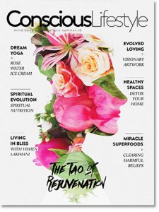 Conscious Lifestyle Cover